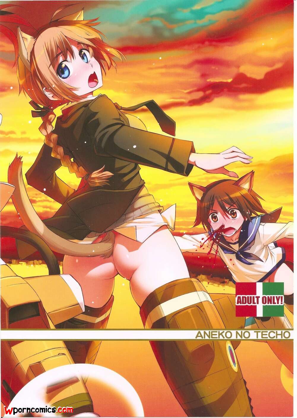 Aneko