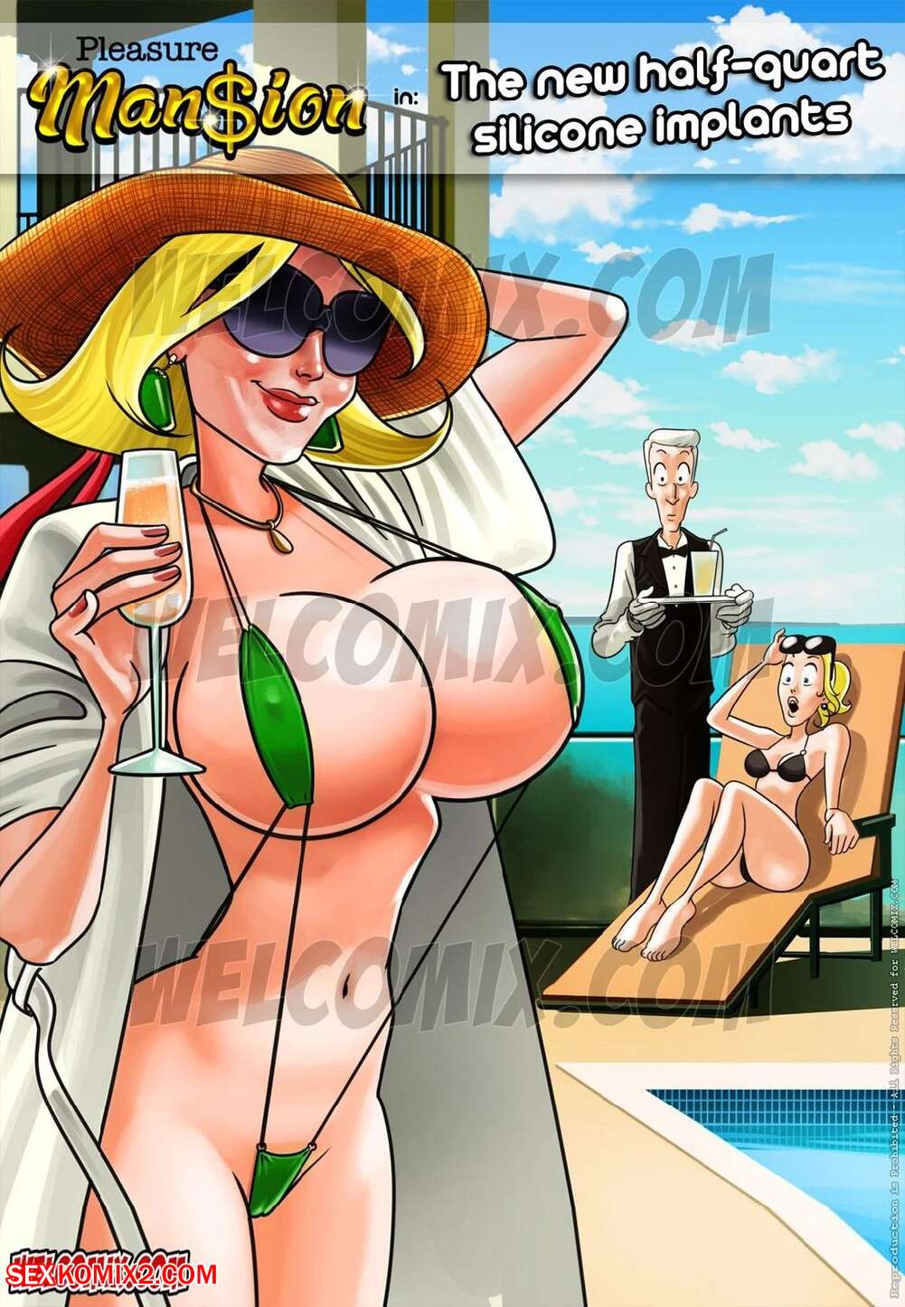 Porn comic Pleasure Mansion. Chapter 3. WC TF.