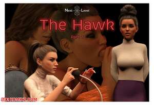 Porn comic The Hawk. TheNextLevel.