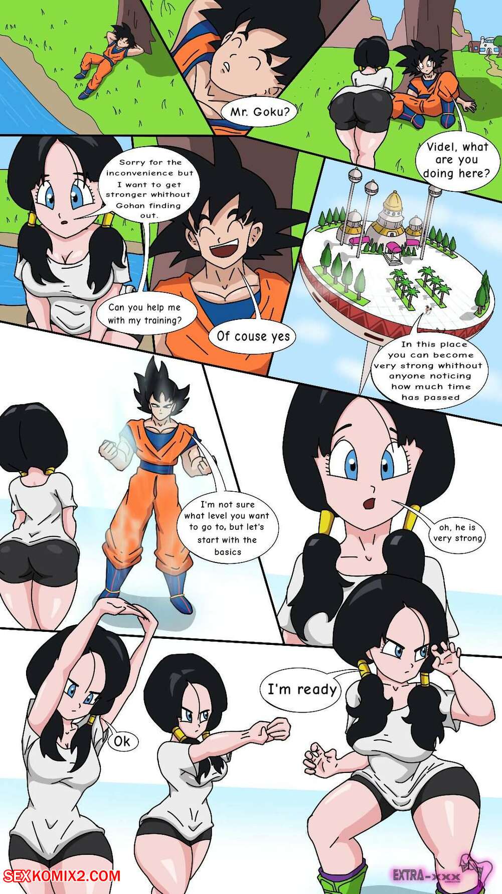 Videl pron